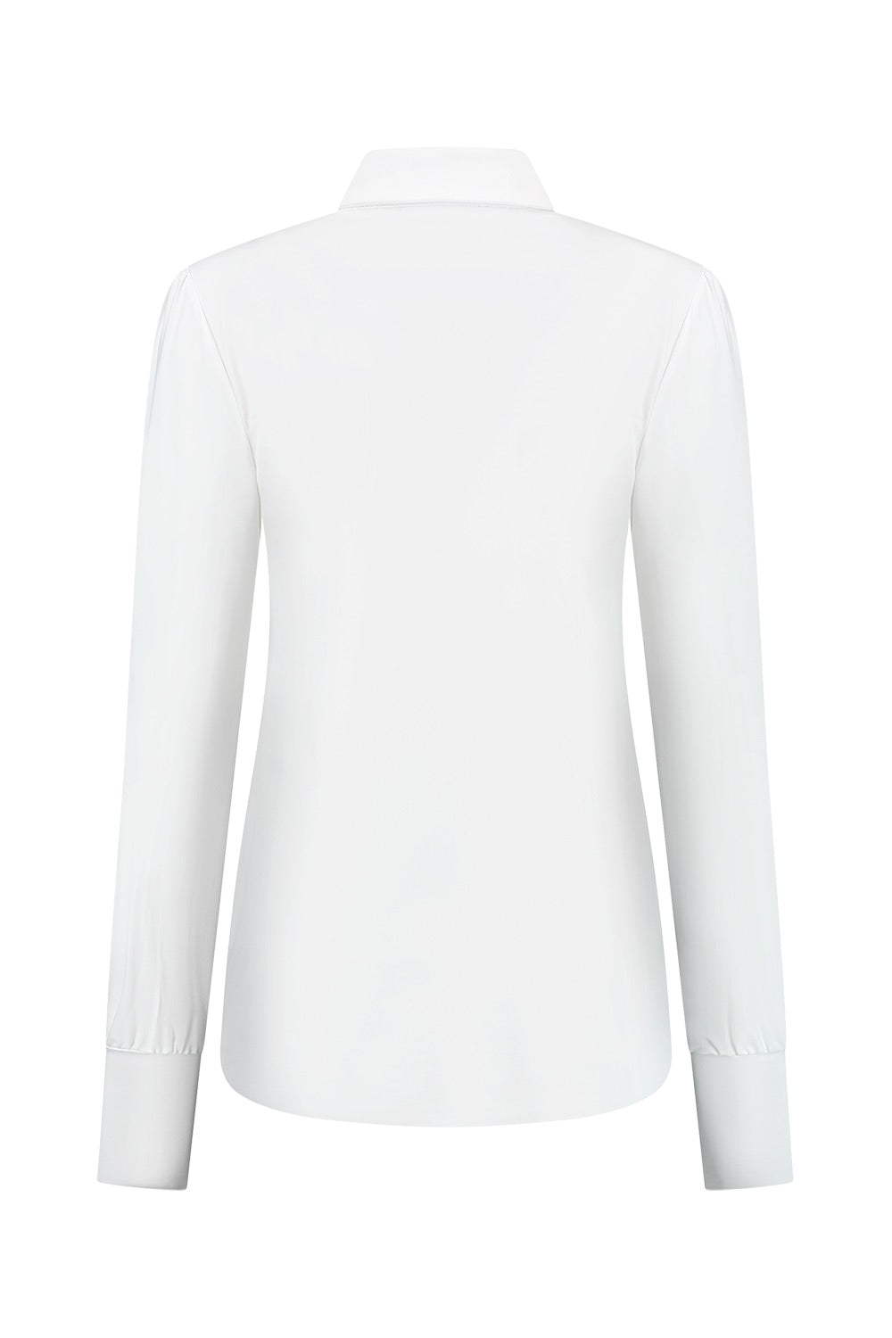 Blouse-Up Transfer Wit