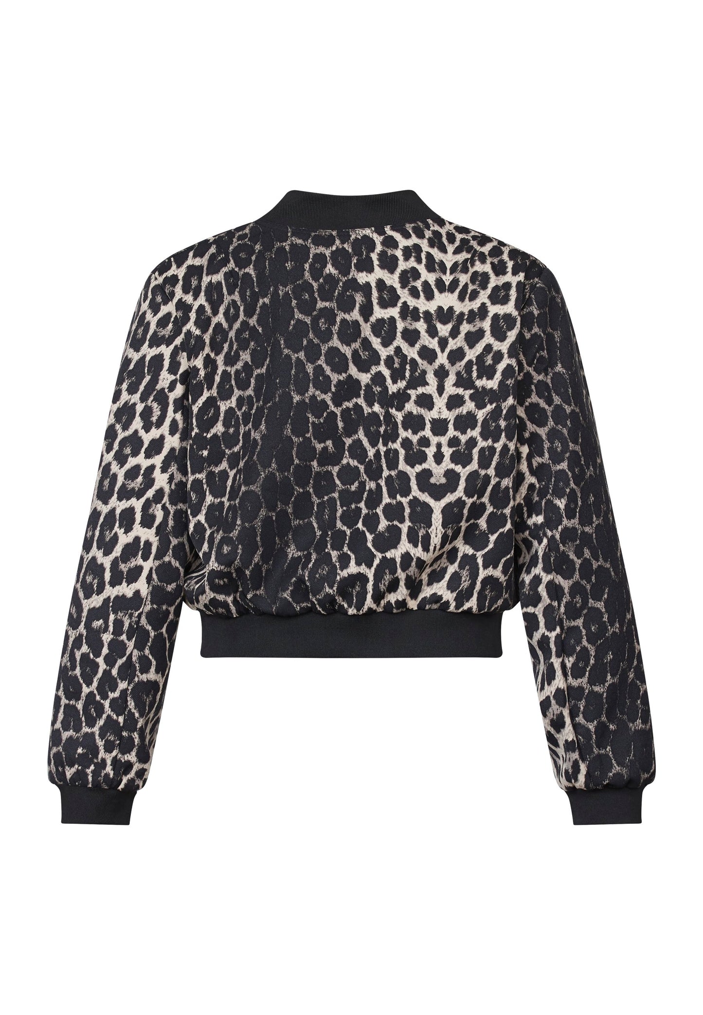 Jack Garwin Leo Leopard