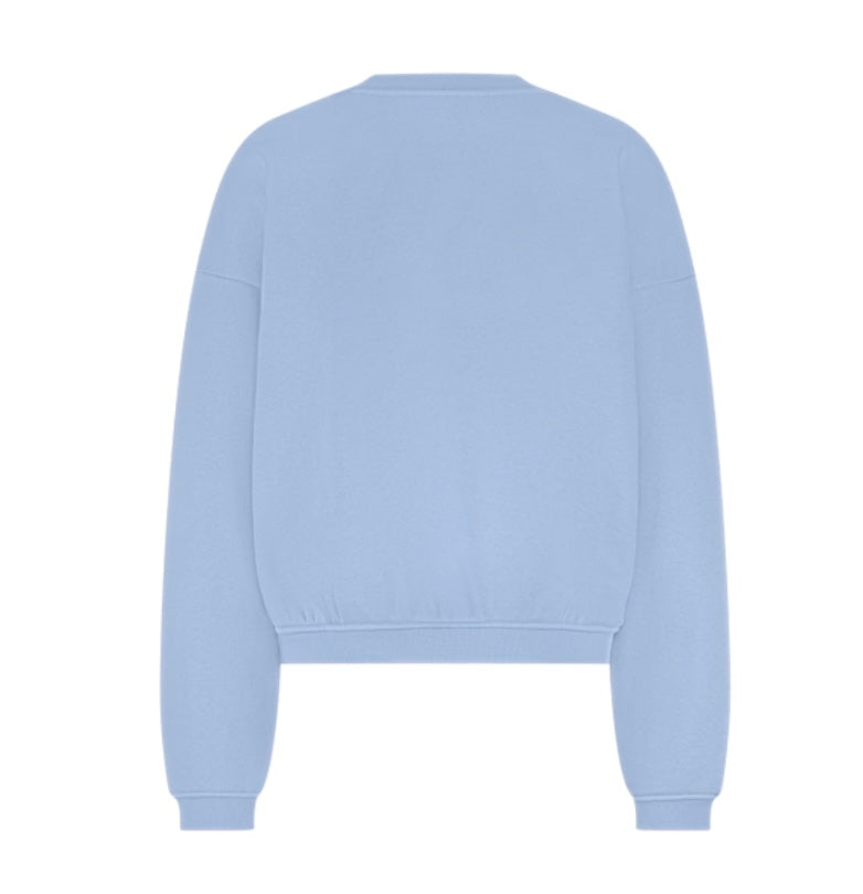 TruiTowelTekstPNLichtblauw__2