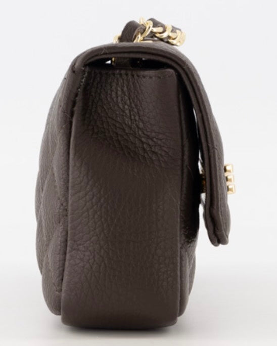 TasAudreyKleinDonkerbruin__2