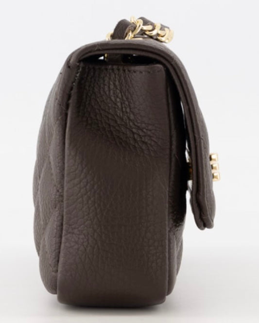 TasAudreyKleinDonkerbruin__2