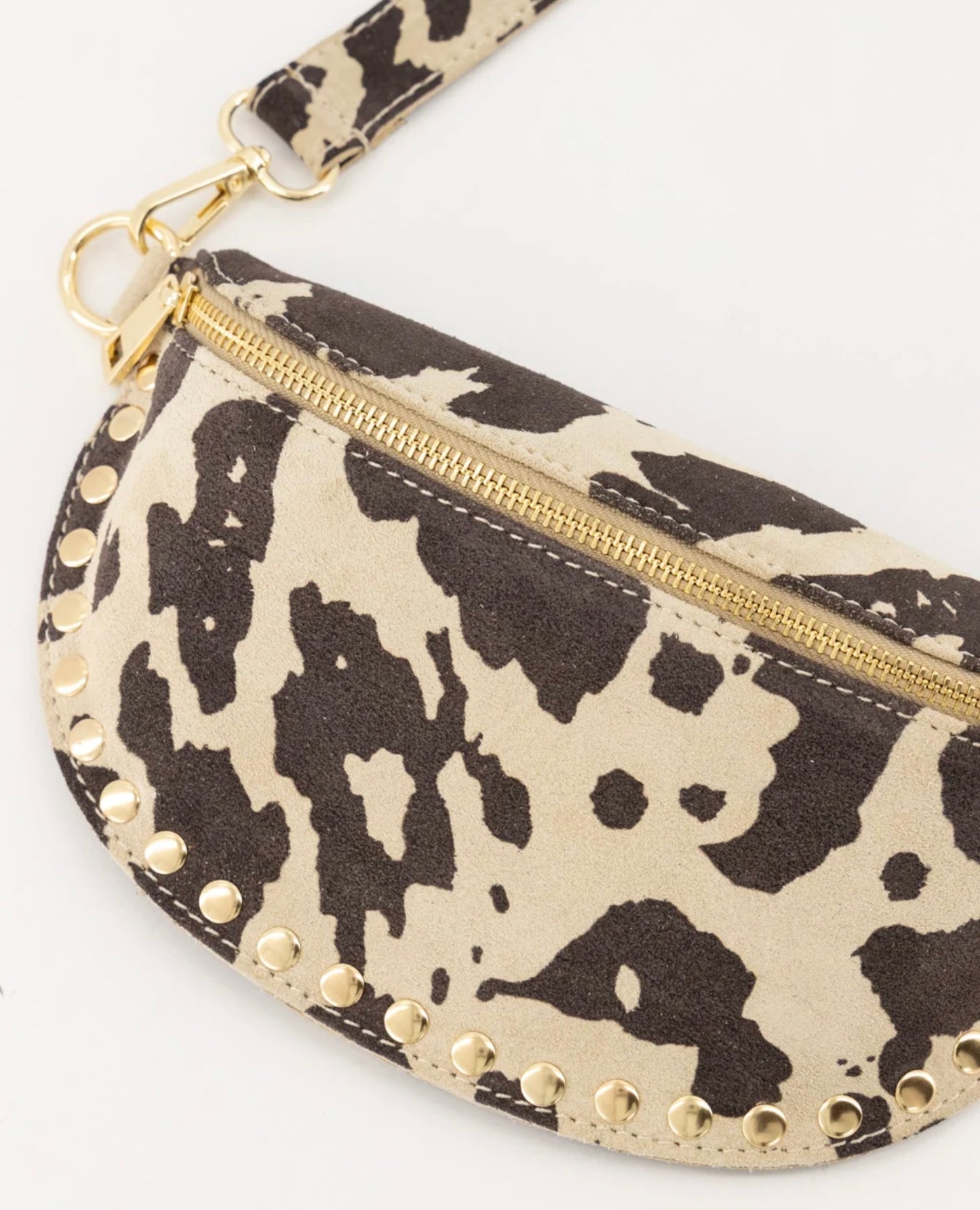 TasDebbyBuidelStudsKoe__2