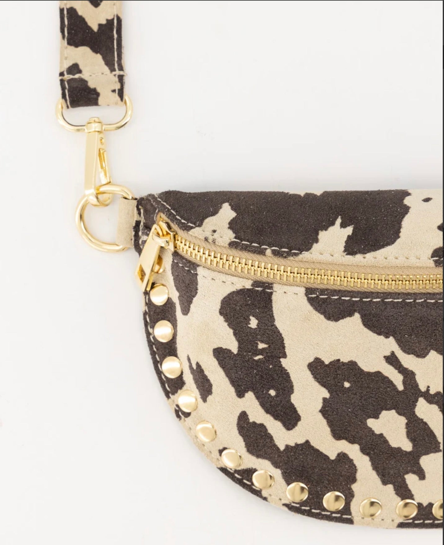 TasDebbyBuidelStudsKoe__3